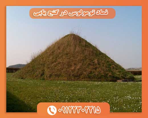 نماد تومولوس در گنج یابی09122302215