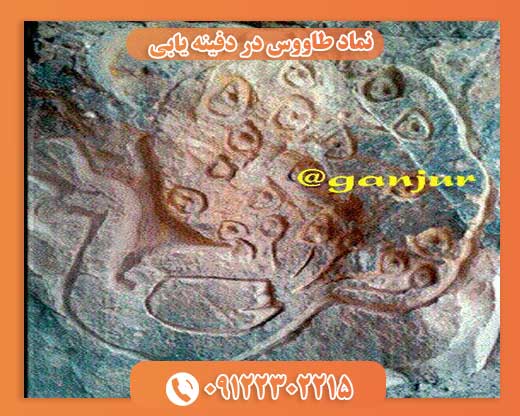 نماد طاووس در دفینه یابی 09122302215