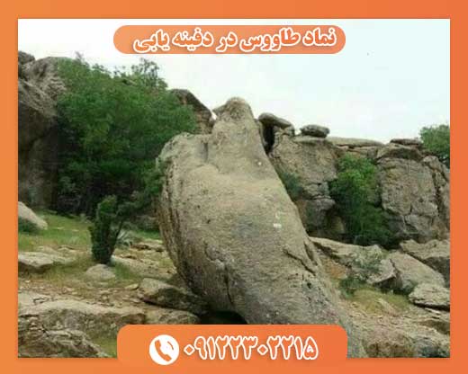 نماد پرنده در گنجیابی 09122302215