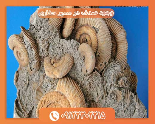 وجود صدف در مسیر حفاری09122302215