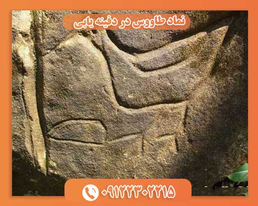 نماد پرنده در گنجیابی09122302215