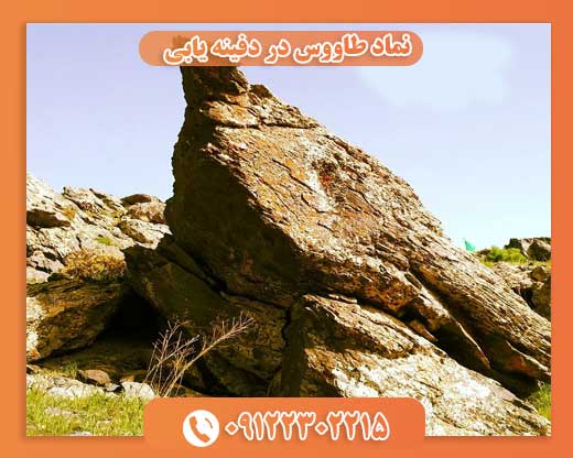 نماد پرنده در گنجیابی09122302215