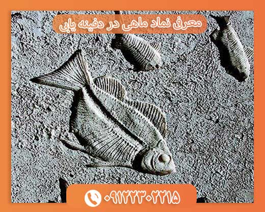 معرفی نماد ماهی در دفینه یابی09122302215