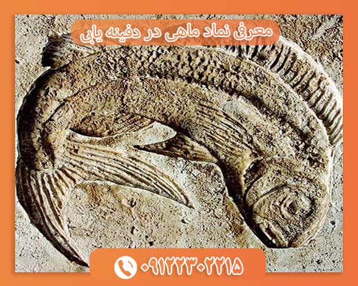 معرفی نماد ماهی در دفینه یابی09122302215