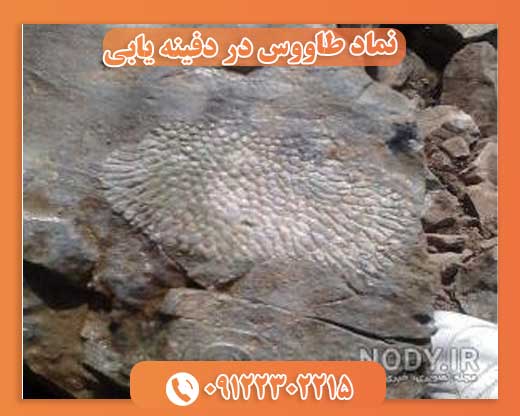 نماد طاووس در دفینه یابی 09122302215