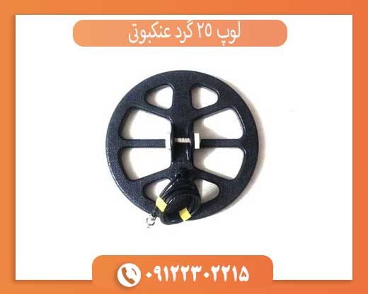 لوپ 25 گرد عنکبوتی